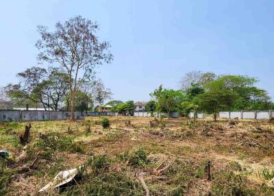 1.5 Rai Plot Of Land For Rent In Tha Sala Chiang Mai