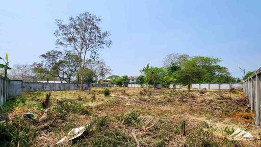 1.5 Rai Plot Of Land For Rent In Tha Sala Chiang Mai