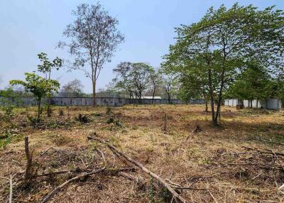 1.5 Rai Plot Of Land For Sale In Tha Sala Chiang Mai