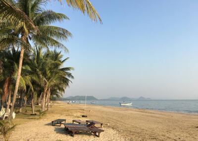 Serene beachfront view with coconut trees and boats