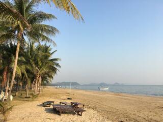 Serene beachfront view with coconut trees and boats