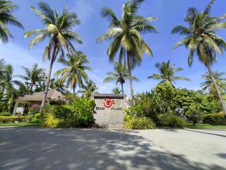 Tropical beach village entrance with palm trees and clear blue sky