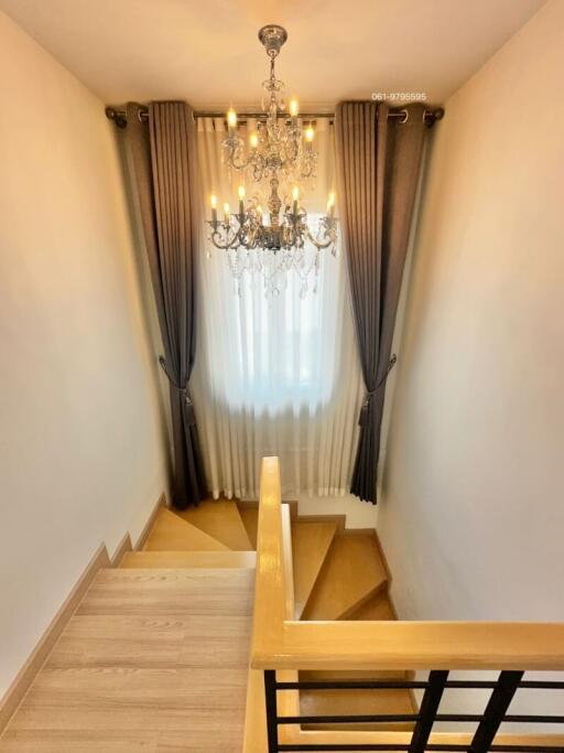Elegant wooden staircase with chandelier and decorative curtains