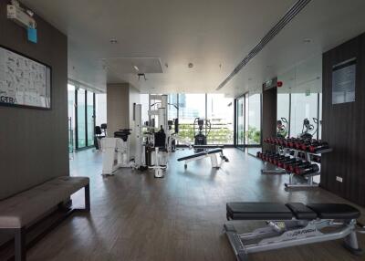 Modern residential gym with exercise equipment and large windows