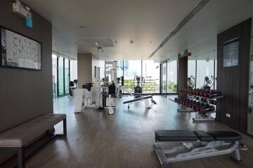 Modern residential gym with exercise equipment and large windows
