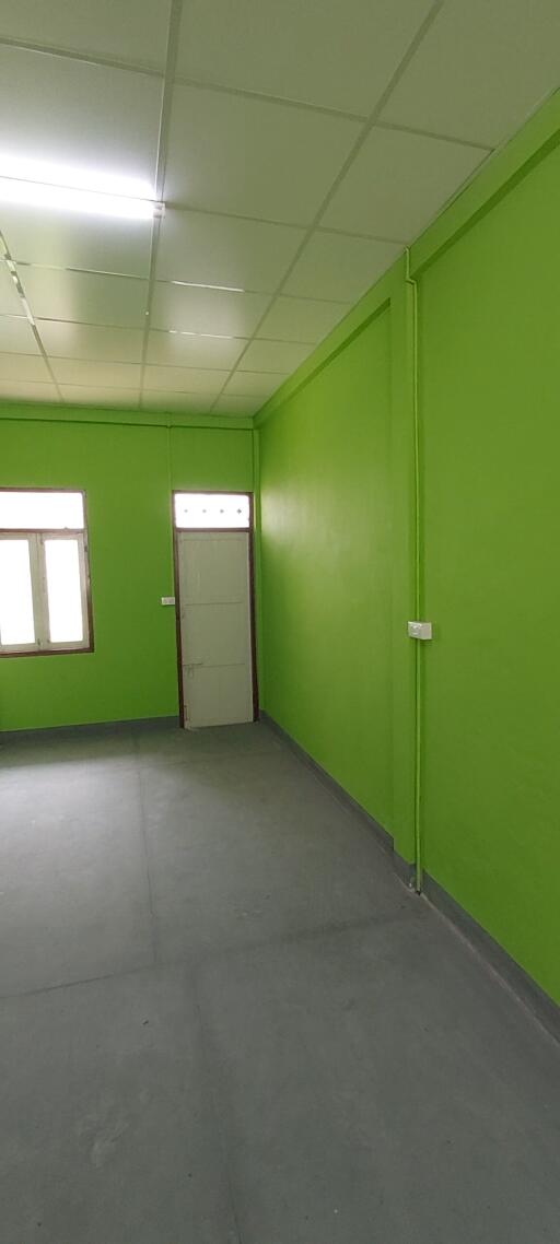 Empty interior room with green walls and fluorescent lighting