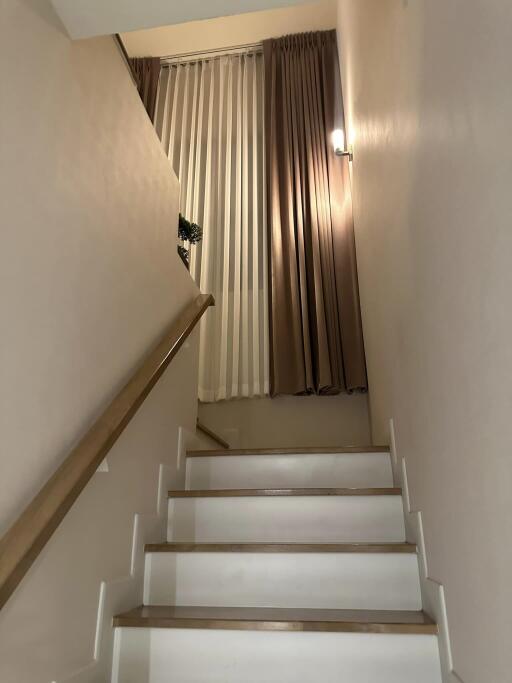 Well-lit staircase with white steps and cream curtains