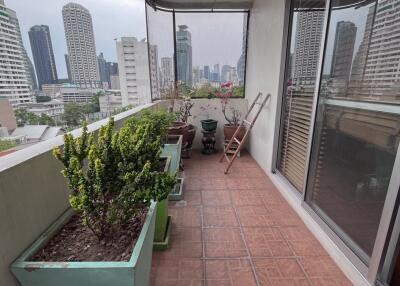 Large Condo Sukhumvit 61 Sale Ekkamai