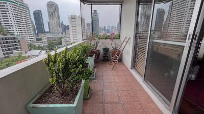 Large Condo Sukhumvit 61 Sale Ekkamai