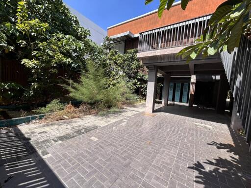 Front view of a modern house with spacious driveway and lush greenery