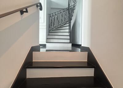 Elegant staircase with black and white color scheme