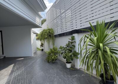 Spacious outdoor area with modern design and green plants