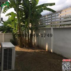 Backyard garden with plants and air conditioning unit