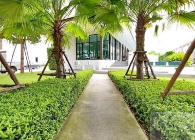 Modern building entrance with landscaped pathway and palm trees
