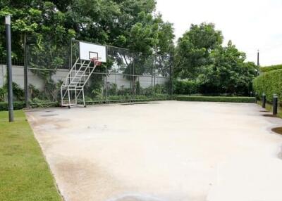 Outdoor basketball court with lush greenery