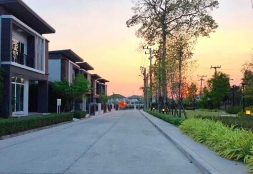 Modern residential buildings at sunset