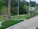 View of the front yard and street from a property