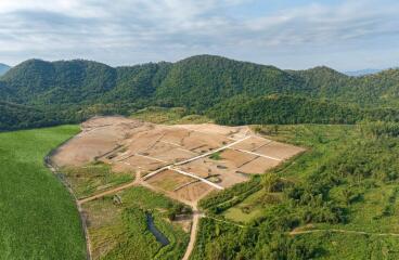 Aerial view of a development area surrounded by greenery