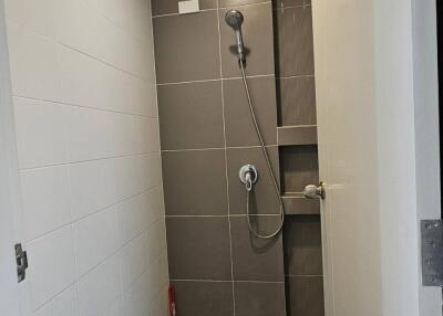 Modern bathroom interior with shower