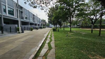 Residential complex exterior with townhouses and landscaped green area