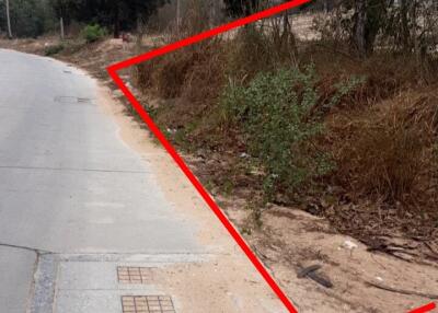 Paved road with surrounding vegetation and clear sky