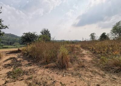 Empty plot of land with dry grass and a clear sky