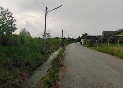 Paved road with adjacent drainage ditch in a suburban area