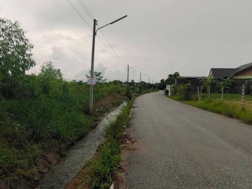 Paved road with adjacent drainage ditch in a suburban area