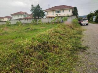 Overgrown grass plot in front of a residential property