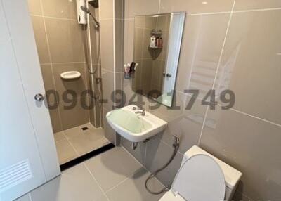 Modern compact bathroom with shower and toilet