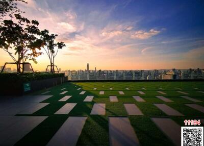 Sunset view from rooftop garden with city skyline