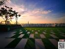 Sunset view from rooftop garden with city skyline