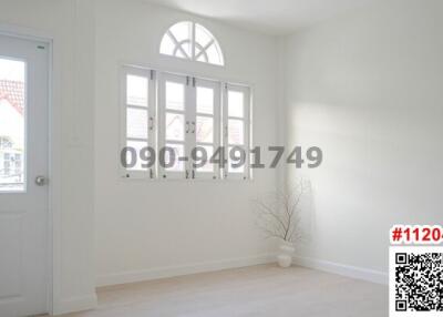 Bright and airy room with large windows and a decorative plant