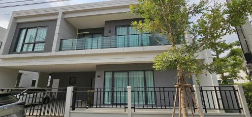 Modern two-story residential home with balcony and tree in front