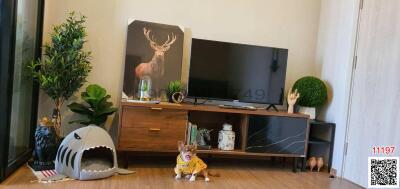 Cozy living room with modern entertainment unit and decorative plants