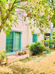 Cozy home exterior with garden and flowering pots