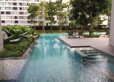 Tranquil residential pool with surrounding greenery and lounge area