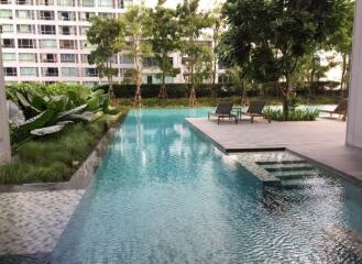 Tranquil residential pool with surrounding greenery and lounge area