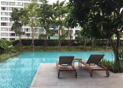 Tranquil outdoor swimming pool surrounded by greenery in a residential building complex