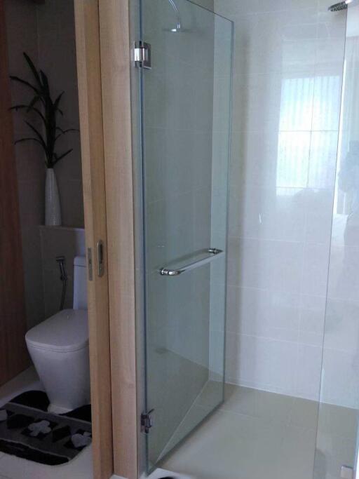 Modern bathroom interior with glass shower and white ceramic fixtures