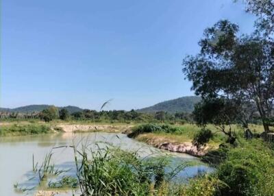 Serene lake view with lush greenery and clear skies