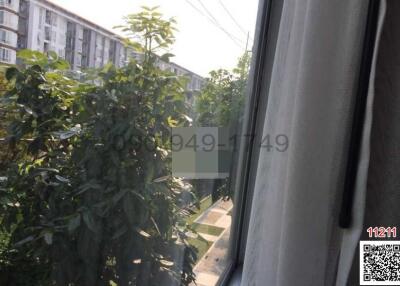 View from a window showing greenery and partial view of neighboring building