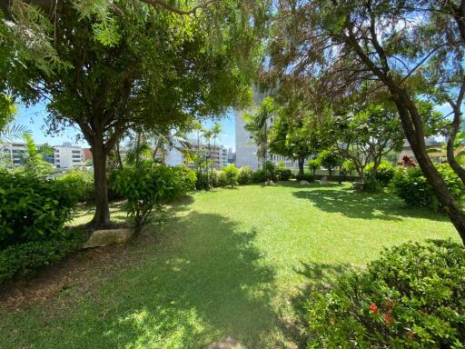 Lush green garden with manicured lawn and mature trees