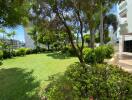 Lush green garden with trees near a residential building