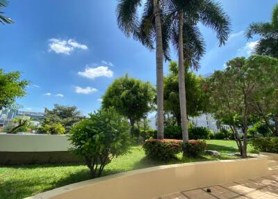 Lush green outdoor garden with palm trees and bright blue sky