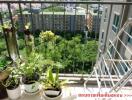 Spacious balcony with plants and view of apartment buildings