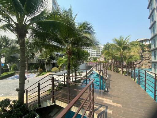 Spacious outdoor common area with pool and tropical palm trees