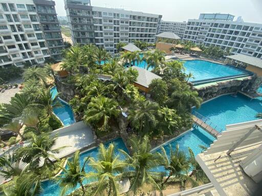 Lush tropical amenity area with swimming pools and palm trees in residential complex