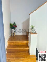 Wooden staircase with decorative plants leading to upper level