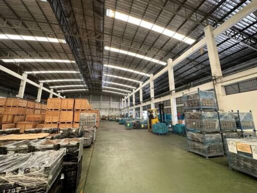 Spacious industrial warehouse with high ceiling and organized goods
